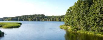 Panorama Borów Tucholskich - najważniejsze informacje o regionie