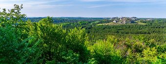 Panorama Jury Krakowsko-Częstochowskiej - najważniejsze informacje o regionie